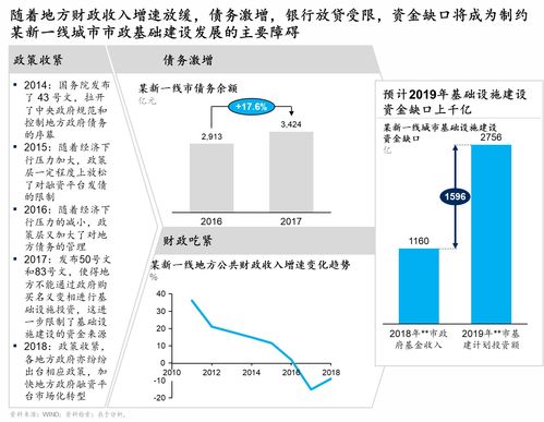 纾困突围，在发展中实现转型 城投公司破局之道系列之一 挑战与机遇下的设施建设运营