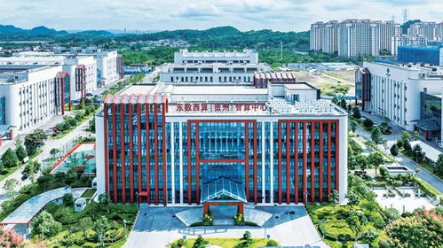 构建算力基石 解析建设与运营国家数据基础设施的战略价值与使命